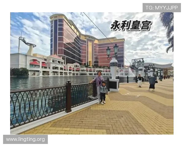 永利皇宫网址安全登录技巧，避免账号被盗的实用建议和注意事项