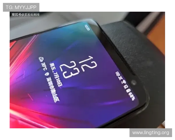 新濠锋娱乐场注册流程与新手指南帮助新玩家快速上手体验精彩游戏