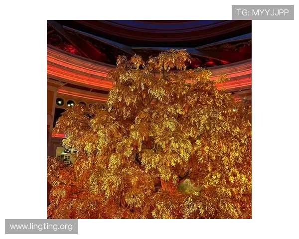 澳门凯旋登陆:澳门凯旋门周边的必访景点与美食推荐全攻略 澳门凯旋登陆:澳门凯旋门周边的必访景点与美食推荐全攻略