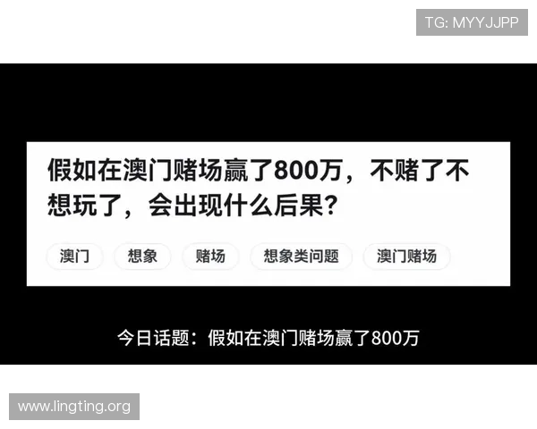 澳门十大赌场排行榜最新2024年最全指南，助你轻松找到最值得体验的豪华赌场