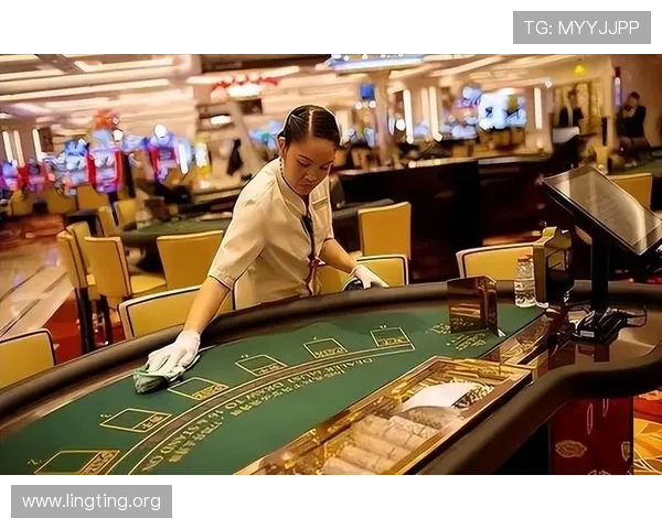 澳门豪赌：探秘澳门赌场的安全措施与防范作弊的技术手段