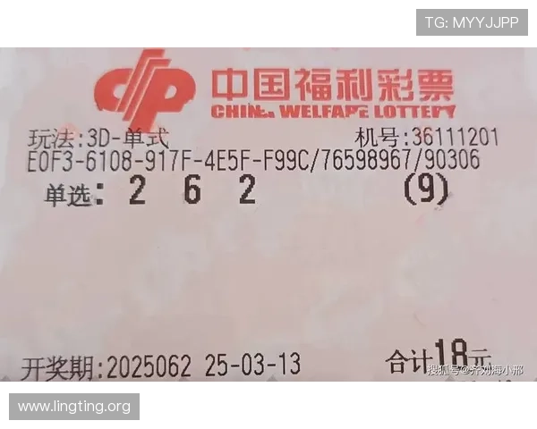 新澳门彩数字站全面解析彩票玩法技巧，帮助玩家提升中奖概率和投注策略