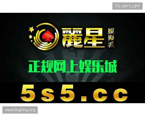 星际正规娱乐安全保障措施详解，确保用户在虚拟娱乐中的隐私与权益