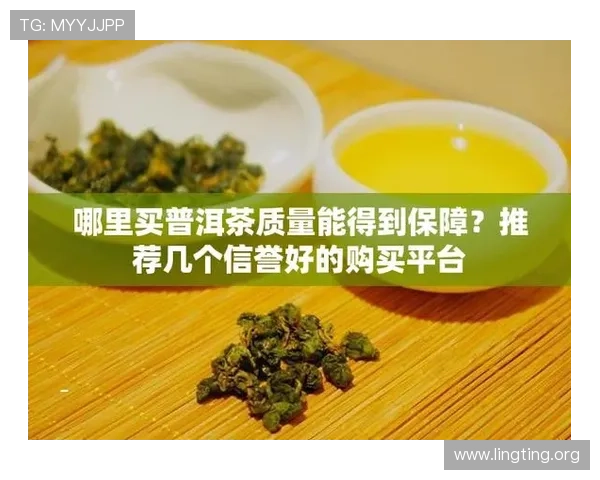 永利在线第一品牌,保障用户资金安全的核心措施与信誉保障 永利在线第一品牌,保障用户资金安全的核心措施与信誉保障